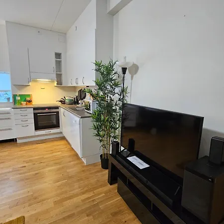Sjarmerende Leilighet I Apartment